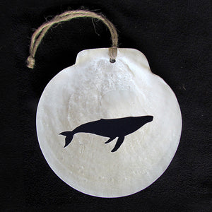 Scallop Shell - Humpback Whale