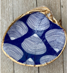 Clam Shell Blue Clam Shells